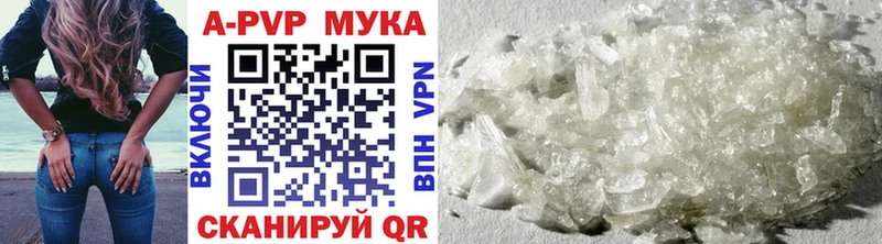 А ПВП крисы CK Шацк