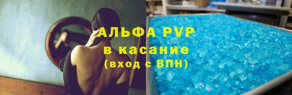 spice Аркадак