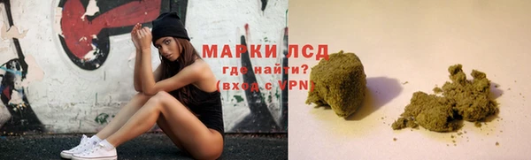 spice Аркадак